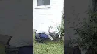 Pest Control in Wylie, Texas