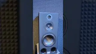 трёшечка в деле. 1000 ватт в две колонки👍#акустика #hifi #audiosystem