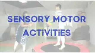 Sensory Motor Integration