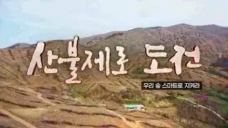[KFS] Korea Forest Service: Forest Fire