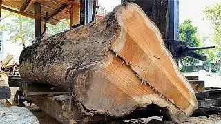 Turning quality teak wood into planks for door materials 