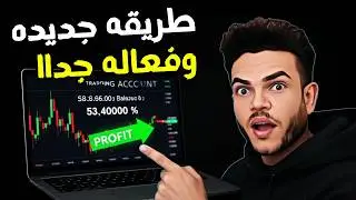 بالإثبات العملي | استراتيجية تداول بسيطة للمبتدئين (Alligator + MACD)