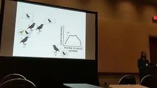 Rundstrom: The evolution of auditory curiosity modeling and analyzing interactions