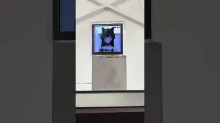 HooRii Stage &ndash; AI-Driven Device Control Demo #2