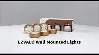EZVALO | Wall Mounted Picture Lights