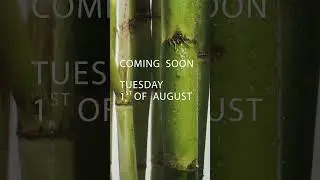 Biossance Launch Teaser