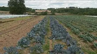 La ferme collective Bio de la Tournerie : un mod&egrave;le innovant