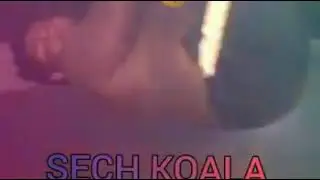 Ete seech koala