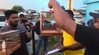 Соревнования по охоте на птиц «Мишель против Крунта» на поле «Беттерхоуп Граунд». Победителем ста...
