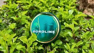 Boroline Antiseptic Ayurvedic Cream Review | Best Antiseptic Cream in India
