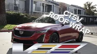 Roof wrap in a 3M gloss black! EVERY car needs this!