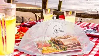 The Chefast Food Cover Tents in 5 Sizes - Your Perfect Set