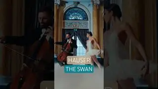 HAUSER &ndash; The Swan 🦢🎻 #Hauser
