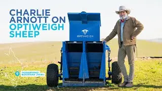 Charlie Arnott talks about using in paddock weighing with Optiweigh Sheep to improve profitability
