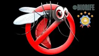 anti mosquito 2025 - Listen for 5 minutes = 10 hours mosquito free