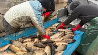 Star_fishss в прямом эфире!world fish ANDIJON YUKLASH JARAYONI