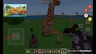 Animal Alphabet Minecraft @Mysterious_sibling