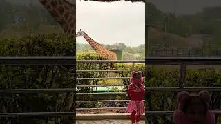 Kids' Fun Adventure at the Zoo with Giraffes! 🦒 #ZooTrip #FamilyFun