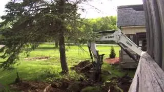 Tree removal