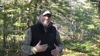 Жилет с подогревом GOKOZY