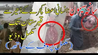 Human body parts of sehwan blast full proofانسانی جسم کے ٹکڑے گندے نالے سے