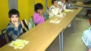 Experimentem amb els sentits