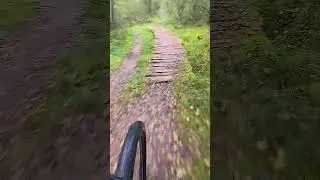 Middle-aged Dad goes: Mountain Biking (MTB)