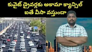 కువైట్ డ్రైవర్లకు || Kuwait House Drivers After Iqama Cancel || SukanyaTv Telugu