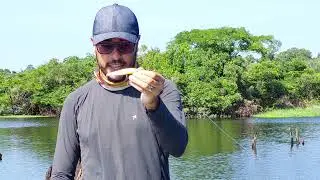 Jumping Minnow T10 - Como trabalhar isca artificial pescaria