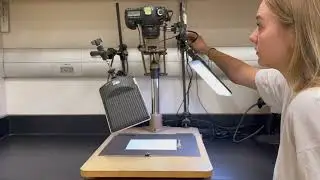 Herbarium Tour and Bryophyte Imaging Demonstration by Madison Winter