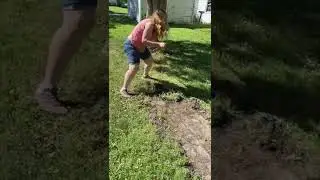 A Rare Antique Brick Pathway Found Buried in Backyard! #shorts