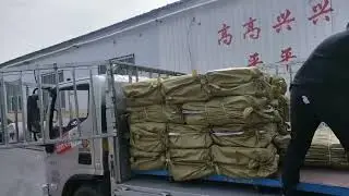 &ldquo;PP Woven Bags Loading Process | Factory Direct Supply & Global Shipping 🚚✨&rdquo;