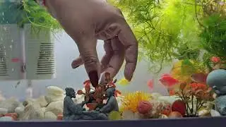 Cleaning Fish Tank + Adding Sculptures & 10 New Colorful Tetra Fish 🐟✨ | Fish Farming Fun