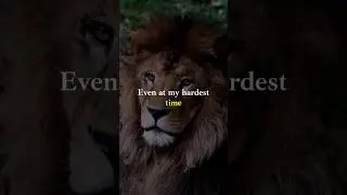 Think Like a King: Dominate Life with This Mindset 👑#mindset #quotes #mindset #motivation