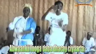 Gabley Shimbir.flv