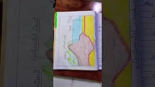 #insideourearth #class7  #geniusbrain #class7  #ncertgeogarphy  #youtubeshorts  #chapter2