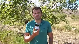 MAGOSERO Almond Butter from Regenerative Agriculture