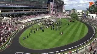 CAMCAT&reg; at Royal Ascot