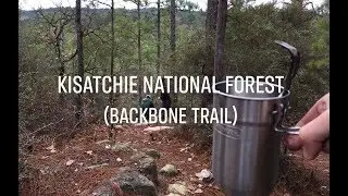 Kisatchie National Forest (Backbone Trail)