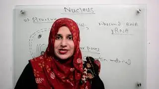 Class 9||Chp#4||Nucleus(Location ,Structure & Function)