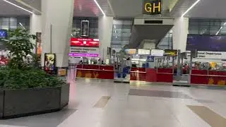 International to Domestic flight transfer at Delhi coming from USA/Other International countries