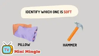 Soft and Hard Objects part 2  | Best Educational Videos for Toddlers