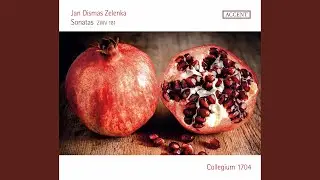 Sonata in F Major, ZWV 181 No. 1: II. Allegro