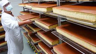Asian Street Foods & Food Factory Processing 24/7 365 LIVE