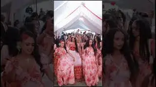 Habesha Ethiopian wedding cultures #shortsfeed #habeshawedding #tigrignamusic #eritrian