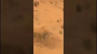 #dakar #rally #dakar2023