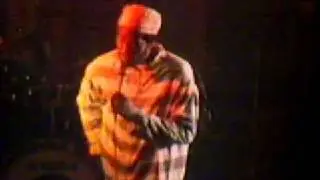 eek a mouse - schoolboy
