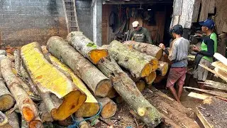 A Surprising Discovery! Decades-Old Jackfruit Wood Arrives Ready for Sawing