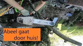 Boom Gaat Door Woning!! Abeel kappen Rotterdam