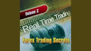 The Basic Features of the Forex Trading Market
